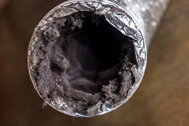 Best Residential Air Duct Cleaning  in Junction City, KS